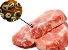 parasitas