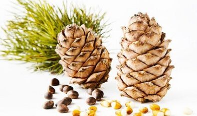 nozes de cedro para remover parasitas do corpo