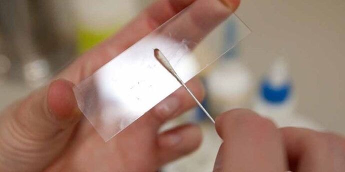 raspagem de pele para parasitas