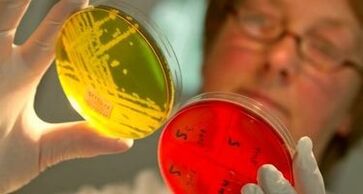 diagnóstico de parasitas no corpo